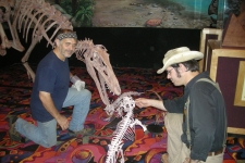 dinoshore-exhibit-106