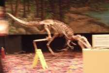 dinoshore-exhibit-140