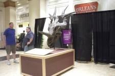 dinoshore-exhibit-156