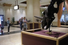 dinoshore-exhibit-158