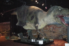 dinoshore-exhibit-165