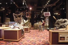 dinoshore-exhibit-201