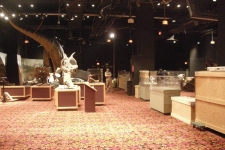 dinoshore-exhibit-208