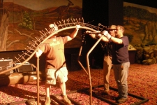 dinoshore-exhibit-212