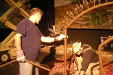 dinoshore-exhibit-215