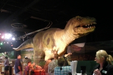 dinoshore-exhibit-254