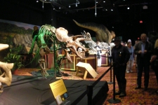 dinoshore-exhibit-265