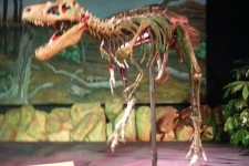 dinoshore-exhibit-268