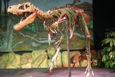 dinoshore-exhibit-269