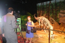 dinoshore-exhibit-277