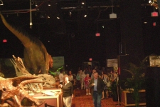 dinoshore-exhibit-280