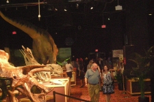 dinoshore-exhibit-281