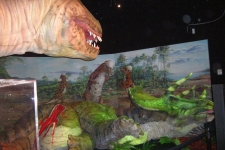 dinoshore-exhibit-285