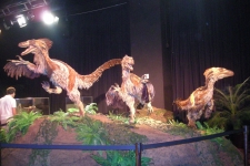 dinoshore-exhibit-288