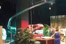 dinoshore-exhibit-293