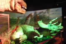 dinoshore-exhibit-301