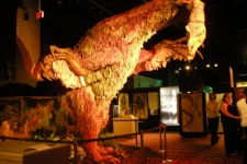 dinoshore-exhibit-303