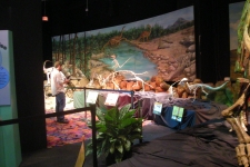 dinoshore-exhibit-306